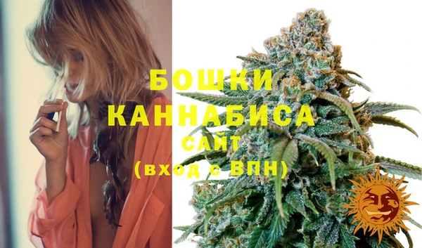 индика Абдулино