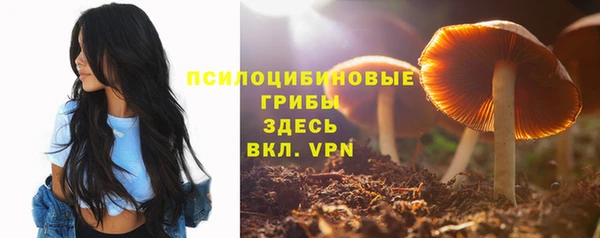 ECSTASY Кодинск