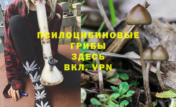 амф Абаза