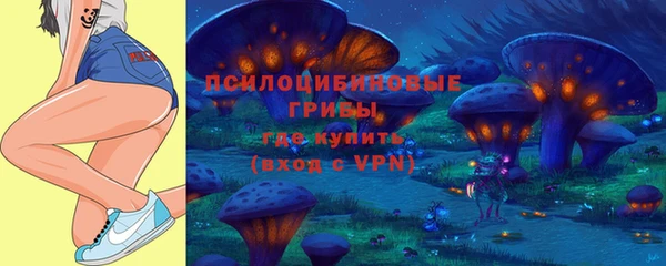индика Абдулино