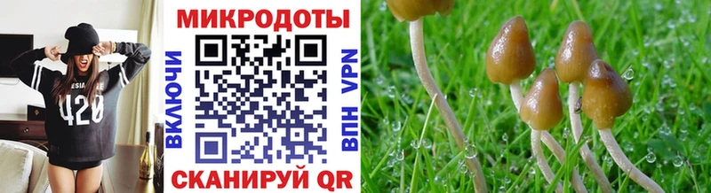 купить закладку  Ртищево  Галлюциногенные грибы Magic Shrooms 