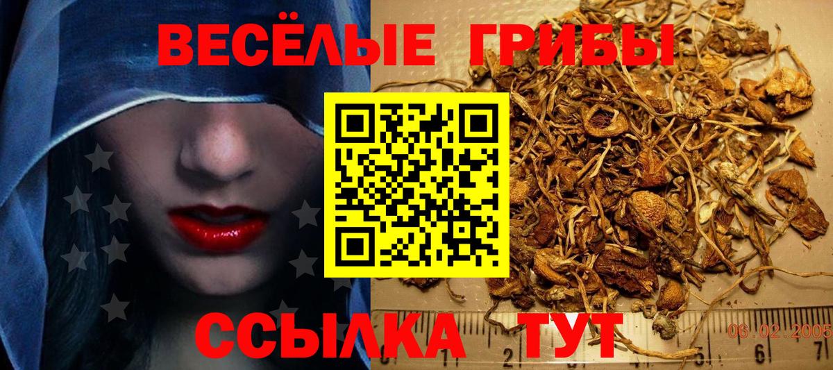 Галлюциногенные грибы мухоморы  Вход с VPN  Ртищево 
