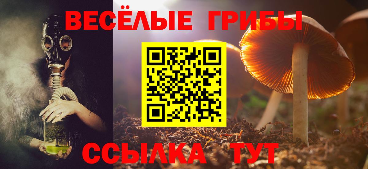Галлюциногенные грибы MAGIC MUSHROOMS Ртищево